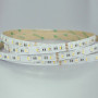 Ruban led RGBWW 4en1 24v 5m