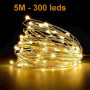 Guirlande led décorative 5m 300leds 12V