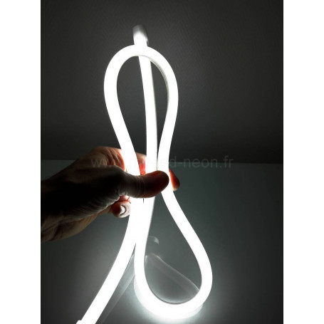 Mini néon led rond 360