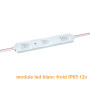 Module LED mono couleur 12v