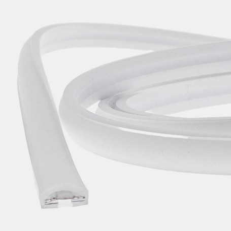 Néon led flex DOME