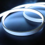 Néon led flex DOME