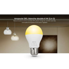 Ampoule LED connectée CCT