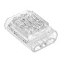 Domino transparent à sertir