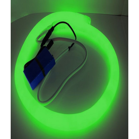 Led néon nomade 12V - vert