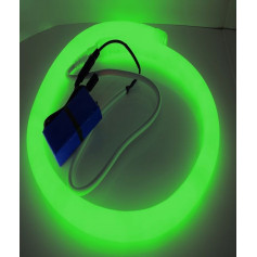 Led néon nomade 12V - vert