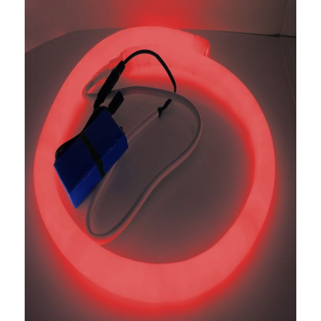 Led néon nomade 12V - rouge