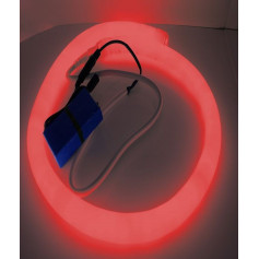 Led néon nomade 12V - rouge