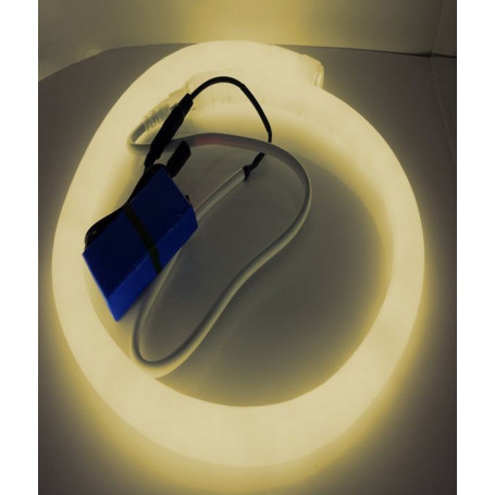 Led néon nomade 12V - jaune