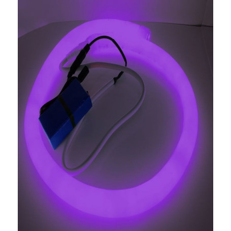 Led néon nomade 12V - violet
