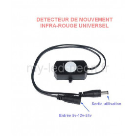 Détecteur de mouvement infra-rouge