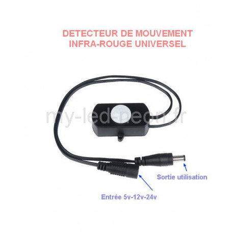 Détecteur de mouvement infra-rouge
